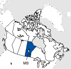 Manitoba Area Code Map