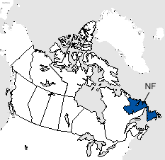 Newfoundland and Labrador Area Code Map