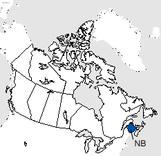 New Brunswick Area Code Map