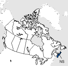 Nova Scotia Area Code Map